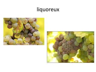liquoreux