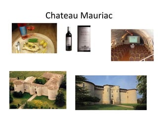 Chateau Mauriac