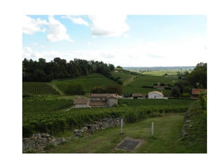 Les routes du vin de Bordeaux