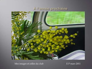 Mes images et celles du club   E P mars 2011
 