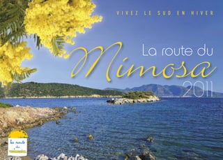 V I V E Z L E S U D E N H I V E R
La route du
Mimosa
 