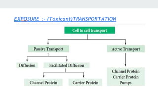 EXPOSURE :- (Toxicant)TRANSPORTATION
 