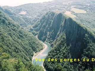 Vue des gorges du Drac 
