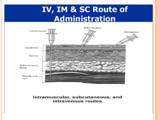 Route of administration of drugs | PPTX