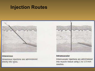 Medication Routes and Dosage Formulations | PPT