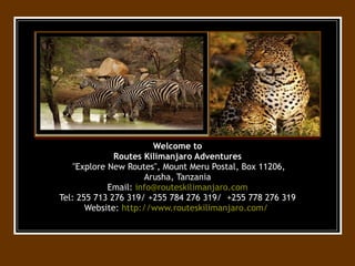 Welcome to Routes Kilimanjaro Adventures  &quot;Explore New Routes&quot;, Mount Meru Postal, Box 11206, Arusha, Tanzania Email:  [email_address] Tel: 255 713 276 319/ +255 784 276 319/  +255 778 276 319 Website:  http://www.routeskilimanjaro.com/   