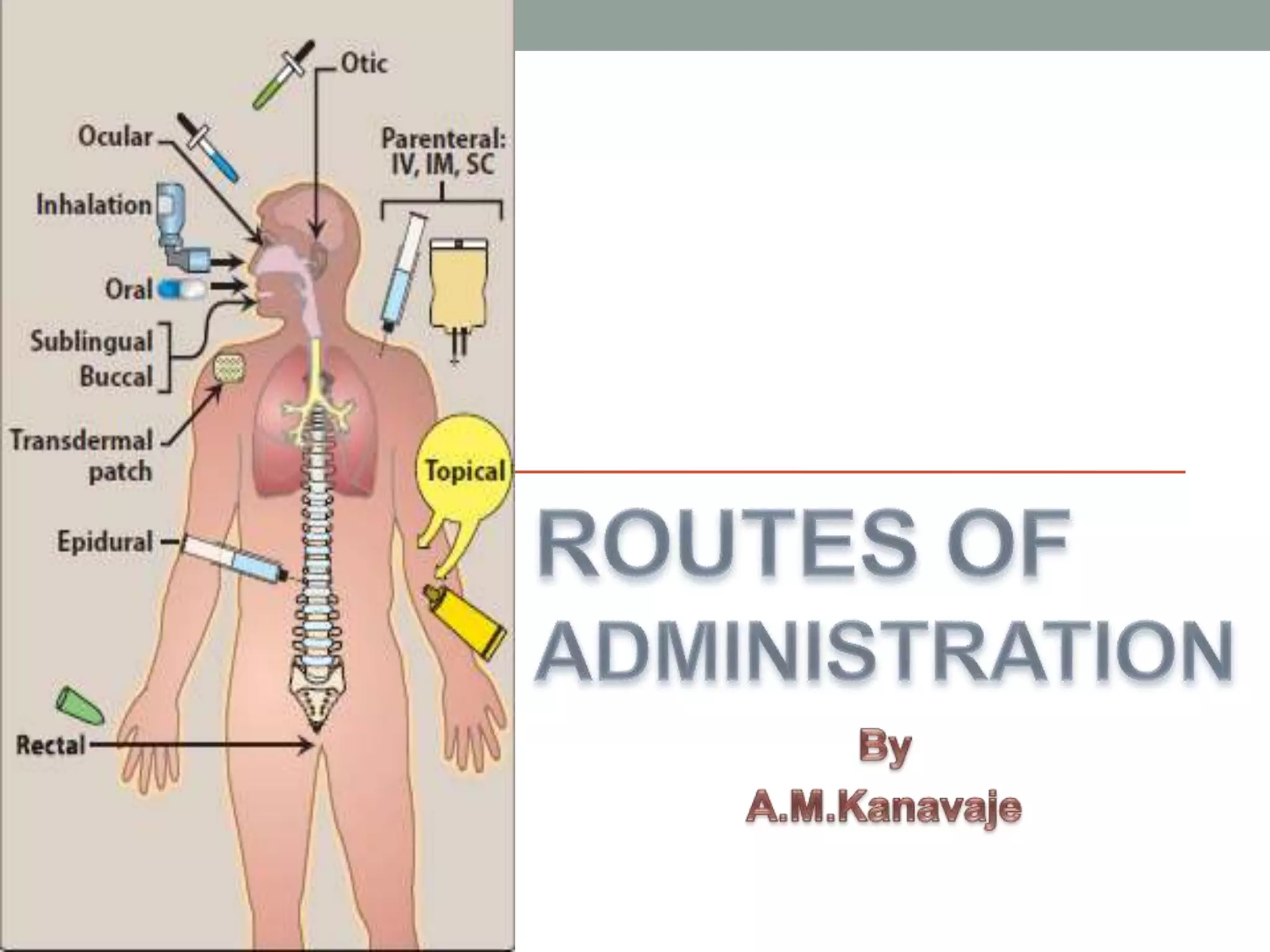Routes of administration | PPTX