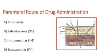Routes of drug administration | PPTX