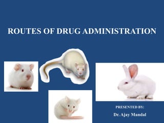 ROUTES OF DRUG ADMINISTRATION
PRESENTED BY:
Dr. Ajay Mandal
 