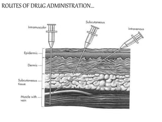 Routes of drug administration | PPSX
