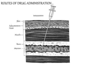 Routes of drug administration | PPT