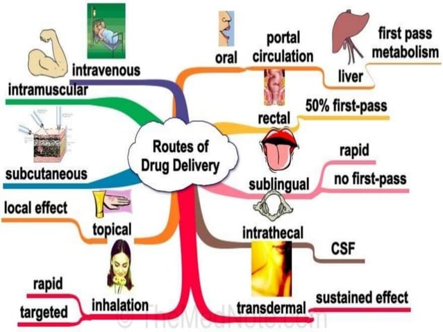 Routes of drug administration | PPTX