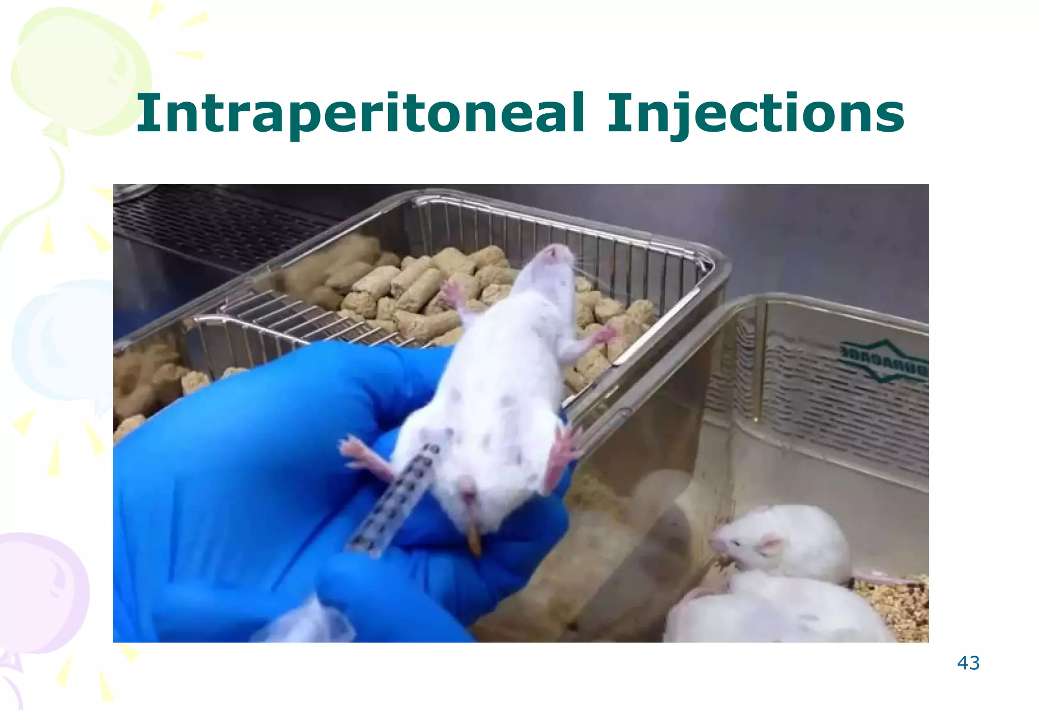 Routes of Drug Administration.ppt