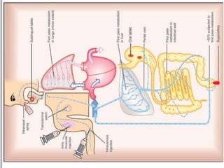 Systemic Routes routesofdrugadministration ppt.pptx