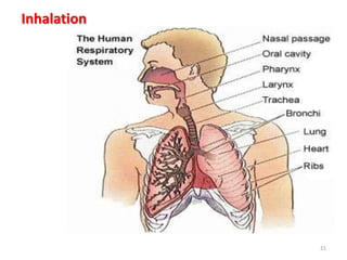 Routes of drug administration MBBS.pptx