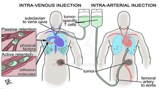 Po Injection Routes of medication administration | PPTX