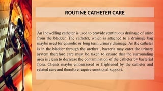 ROUTINE CATHETER CARE
An Indwelling catheter is used to provide continuous drainage of urine
from the bladder. The catheter, which is attached to a drainage bag
maybe used for episodic or long term urinary drainage. As the catheter
is in the bladder through the urethra , bacteria may enter the urinary
system therefore care must be taken to ensure that the surrounding
area is clean to decrease the contamination of the catheter by bacterial
flora. Clients maybe embarrassed or frightened by the catheter and
related care and therefore require emotional support.
 