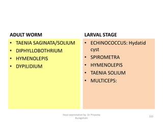 ADULT WORM
• TAENIA SAGINATA/SOLIUM
• DIPHYLLOBOTHRIUM
• HYMENOLEPIS
• DYPILIDIUM
LARVAL STAGE
• ECHINOCOCCUS: Hydatid
cyst
• SPIROMETRA
• HYMENOLEPIS
• TAENIA SOLIUM
• MULTICEPS:
Stool examination by Dr. Priyanka
Buragohain
103
 