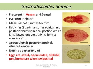 Gastrodiscoides hominis
• Prevalent in Assam and Bengal
• Pyriform in shape
• Measures 5-10 mm × 4-6 mm
• Body has 2 parts: anterior conical and
posterior hemispherical portion which
is hollowed out ventrally to form a
concave disc
• Acetabulum is postero terminal,
situated ventrally
• Notch at posterior end
• Eggs are ovoid, operculated, 130×60
µm, immature when oviposited
Stool examination by Dr. Priyanka
Buragohain
110
 