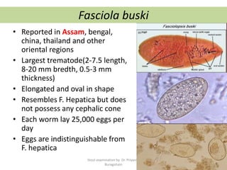 Fasciola buski
• Reported in Assam, bengal,
china, thailand and other
oriental regions
• Largest trematode(2-7.5 length,
8-20 mm bredth, 0.5-3 mm
thickness)
• Elongated and oval in shape
• Resembles F. Hepatica but does
not possess any cephalic cone
• Each worm lay 25,000 eggs per
day
• Eggs are indistinguishable from
F. hepatica
Stool examination by Dr. Priyanka
Buragohain
112
 