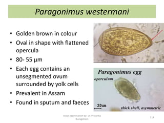 Paragonimus westermani
• Golden brown in colour
• Oval in shape with flattened
opercula
• 80- 55 µm
• Each egg contains an
unsegmented ovum
surrounded by yolk cells
• Prevalent in Assam
• Found in sputum and faeces
Stool examination by Dr. Priyanka
Buragohain
114
 