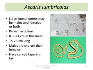 Ascaris lumbricoids
• Large round worms may
be males and females
or both
• Pinkish in colour
• 0.3-0.4 cm in thickness
• 15-25 cm long
• Males are shorter than
females
• Have curved tapering
tail
Stool examination by Dr. Priyanka
Buragohain
115
 