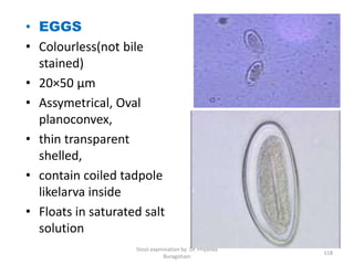 • EGGS
• Colourless(not bile
stained)
• 20×50 µm
• Assymetrical, Oval
planoconvex,
• thin transparent
shelled,
• contain coiled tadpole
likelarva inside
• Floats in saturated salt
solution
Stool examination by Dr. Priyanka
Buragohain
118
 
