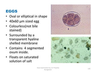 EGGS
• Oval or elliptical in shape
• 40x60 µm sized egg
• Colourless(not bile
stained)
• Surrounded by a
transparent hyaline
shelled membrane
• Contains 4 segmented
ovum inside.
• Floats on saturated
solution of salt
Stool examination by Dr. Priyanka
Buragohain
120
 