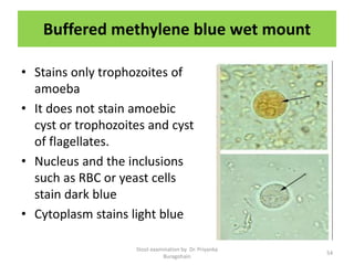 Buffered methylene blue wet mount
• Stains only trophozoites of
amoeba
• It does not stain amoebic
cyst or trophozoites and cyst
of flagellates.
• Nucleus and the inclusions
such as RBC or yeast cells
stain dark blue
• Cytoplasm stains light blue
Stool examination by Dr. Priyanka
Buragohain
54
 