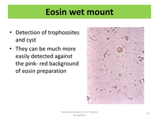 Eosin wet mount
• Detection of trophozoites
and cyst
• They can be much more
easily detected against
the pink- red background
of eosin preparation
Stool examination by Dr. Priyanka
Buragohain
55
 