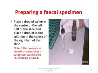 Stool examination by Dr. Priyanka
Buragohain
58
 