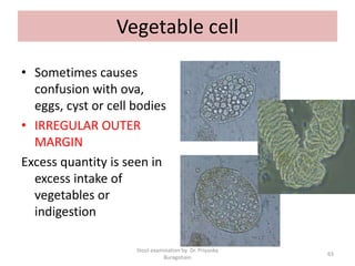 Vegetable cell
• Sometimes causes
confusion with ova,
eggs, cyst or cell bodies
• IRREGULAR OUTER
MARGIN
Excess quantity is seen in
excess intake of
vegetables or
indigestion
Stool examination by Dr. Priyanka
Buragohain
63
 