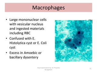Macrophages
• Large mononuclear cells
with vesicular nucleus
and ingested materials
including RBC
• Confused with E.
Histolytica cyst or E. Coli
cyst
• Excess in Amoebic or
bacillary dysentery
Stool examination by Dr. Priyanka
Buragohain
71
 