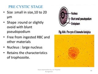 PRE CYSTIC STAGE
• Size :small in size,10 to 20
µm
• Shape :round or slightly
ovoid with blunt
pseudopodium
• Free from ingested RBC and
other materials
• Nucleus : large nucleus
• Retains the characteristics
of trophozoite.
Stool examination by Dr. Priyanka
Buragohain
86
 