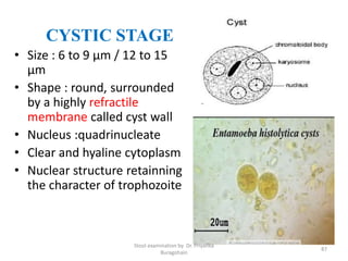 CYSTIC STAGE
• Size : 6 to 9 µm / 12 to 15
µm
• Shape : round, surrounded
by a highly refractile
membrane called cyst wall
• Nucleus :quadrinucleate
• Clear and hyaline cytoplasm
• Nuclear structure retainning
the character of trophozoite
Stool examination by Dr. Priyanka
Buragohain
87
 