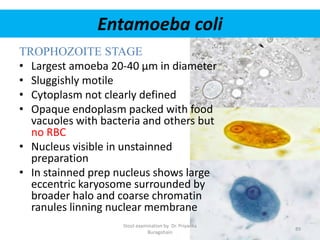 Entamoeba coli
TROPHOZOITE STAGE
• Largest amoeba 20-40 µm in diameter
• Sluggishly motile
• Cytoplasm not clearly defined
• Opaque endoplasm packed with food
vacuoles with bacteria and others but
no RBC
• Nucleus visible in unstainned
preparation
• In stainned prep nucleus shows large
eccentric karyosome surrounded by
broader halo and coarse chromatin
ranules linning nuclear membrane
Stool examination by Dr. Priyanka
Buragohain
89
 