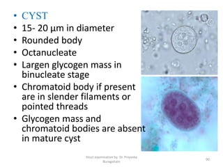 • CYST
• 15- 20 µm in diameter
• Rounded body
• Octanucleate
• Largen glycogen mass in
binucleate stage
• Chromatoid body if present
are in slender filaments or
pointed threads
• Glycogen mass and
chromatoid bodies are absent
in mature cyst
Stool examination by Dr. Priyanka
Buragohain
90
 