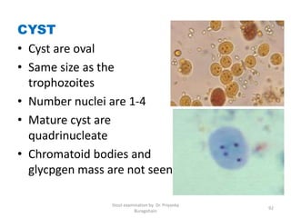 CYST
• Cyst are oval
• Same size as the
trophozoites
• Number nuclei are 1-4
• Mature cyst are
quadrinucleate
• Chromatoid bodies and
glycpgen mass are not seen
Stool examination by Dr. Priyanka
Buragohain
92
 