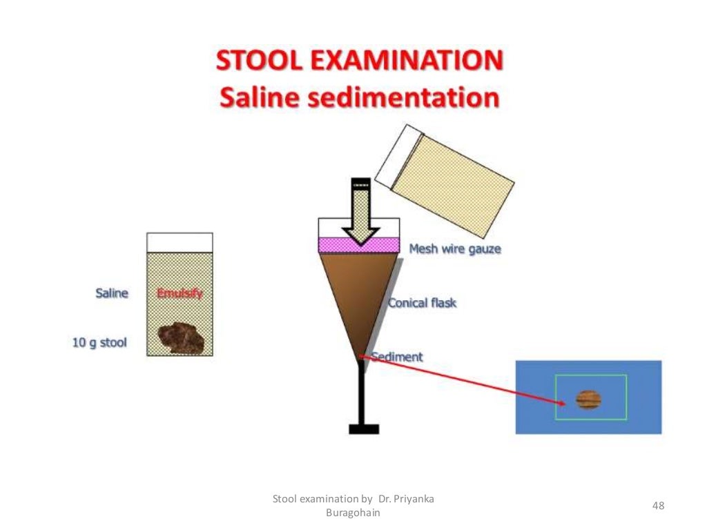 Routine examination of stool