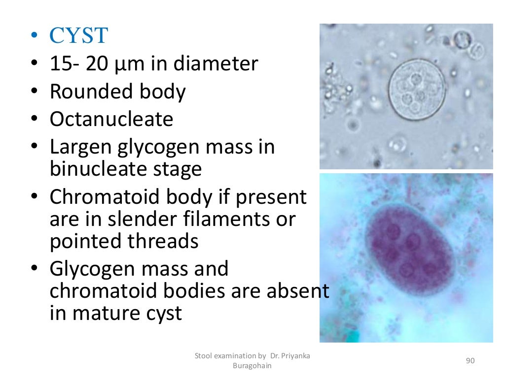 Routine examination of stool