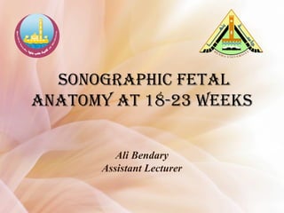 Ali Bendary
Assistant Lecturer
sonographic Fetal
anatomy at 18-23 weeks
 