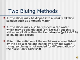 Routine H & E | PPT