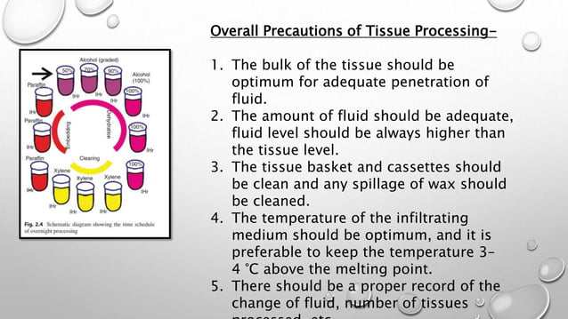 Routine histopathology techniques and staining [Autosaved].pptx ...