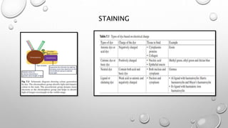 Routine histopathology techniques and staining [Autosaved].pptx