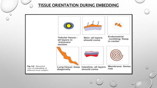 Routine histopathology techniques and staining [Autosaved].pptx