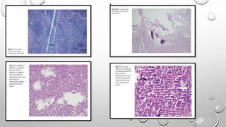 Routine histopathology techniques and staining [Autosaved].pptx