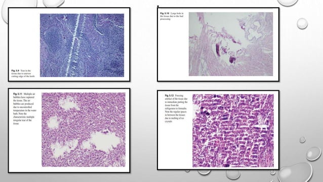 Routine histopathology techniques and staining [Autosaved].pptx