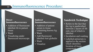 Immunofluorescence Procedure:
Direct
Immunofluorescence
• Addition of fluorescent
labelled Ab to patient
tissue
• Wash
• Visualizing under
fluorescent microscope
Indirect
Immunofluorescence
• Addition of patient
serum to tissue
containing known Ag
• Wash
• Add fluorescent
labelled Anti globulin
• Wash
• Visualize
Sandwich Technique
• Refers to the fact that
the Ag is sandwiched
between 2 layers of Ab
only one of which is
labelled
• Incubation and washing
• Labelled antiserum is
applied to the section
which identifies
location of tissue
component
60
 