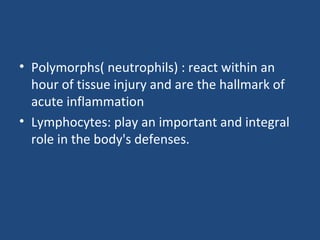 • Polymorphs( neutrophils) : react within an
hour of tissue injury and are the hallmark of
acute inflammation
• Lymphocytes: play an important and integral
role in the body's defenses.
 
