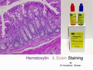 Hematoxylin & Eosin Staining
By
Dr.Varughese George
 